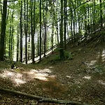 Fon Lägenhet